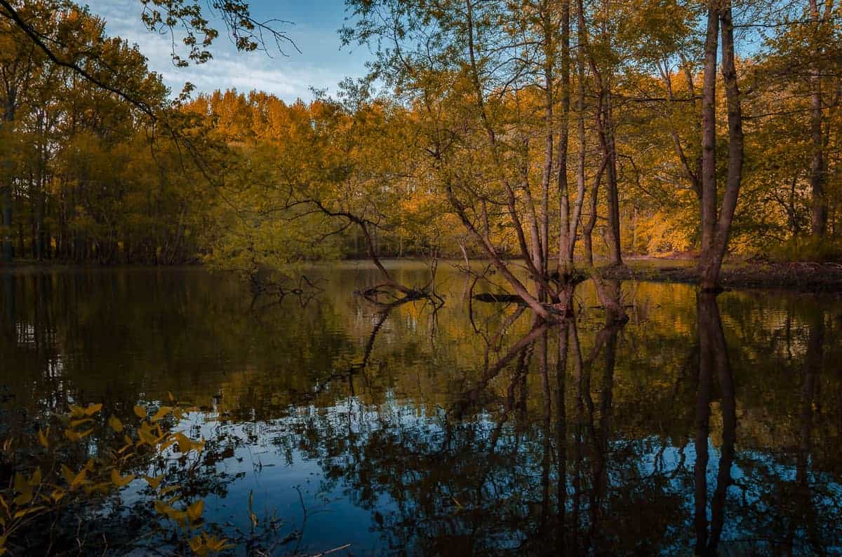 Fall Color Enhancement Preset Pack